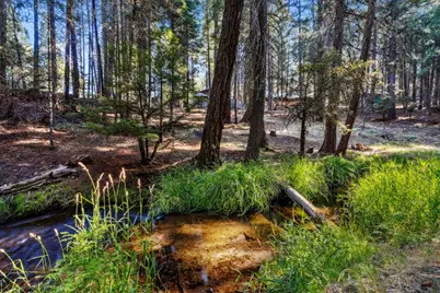 35425 Stonewall Dr, Shingletown, CA 96088 - Photo 67