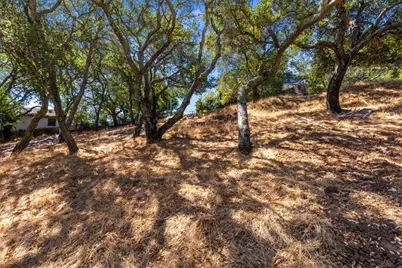 00 S Palomar Dr, Redwood City, CA 94062 - Photo 7