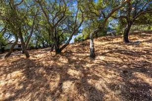 00 S Palomar Dr, Redwood City, CA 94062 - Photo 7
