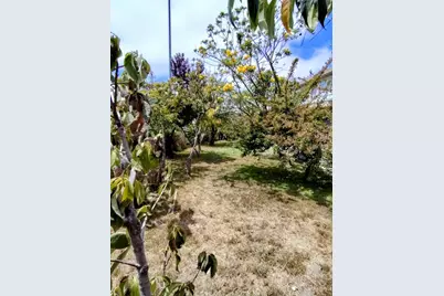 230 Paloma Ave, Salinas, CA 93905 - Photo 39