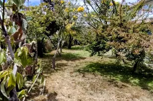 230 Paloma Ave, Salinas, CA 93905 - Photo 39