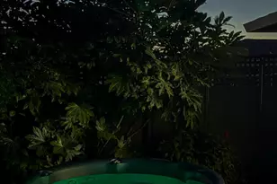 307 De La Vina Way, Salinas, CA 93901 - Photo 31