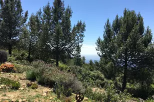 580 Russell Ridge, Watsonville, CA 95076 - Photo 7