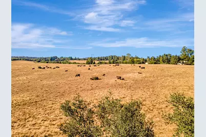 222 Highview Dr, Santa Cruz, CA 95060 - Photo 19