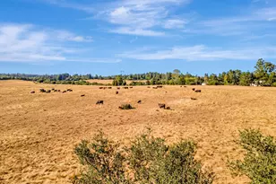 222 Highview Dr, Santa Cruz, CA 95060 - Photo 19