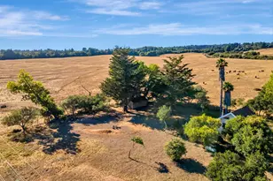 222 Highview Dr, Santa Cruz, CA 95060 - Photo 15