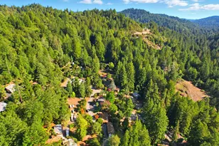 300 Circle Way, Boulder Creek, CA 95006 - Photo 57