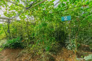 371 Calabasas Rd, Watsonville, CA 95076 - Photo 31