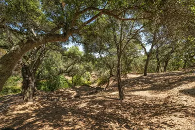 333 Raymundo Dr, Woodside, CA 94062 - Photo 67