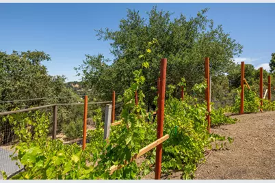 333 Raymundo Dr, Woodside, CA 94062 - Photo 61