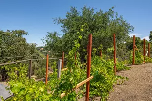 333 Raymundo Dr, Woodside, CA 94062 - Photo 61