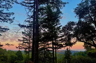 19156 Old Vineyard Rd, Los Gatos, CA 95033 - Photo 29