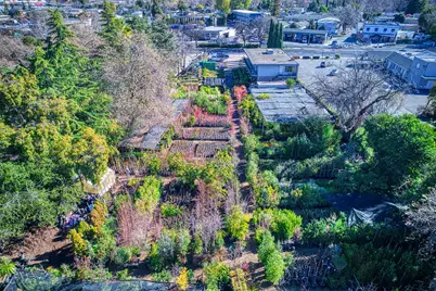 332 Woodside Rd, Redwood City, CA 94061 - Photo 5