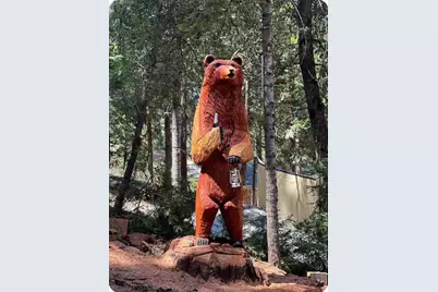 22461 Ponderosa Dr, Twain Harte, CA 95383 - Photo 19