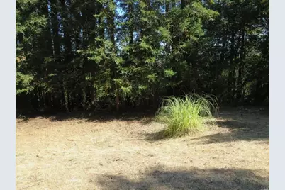 29 Red Rock Way, San Rafael, CA 94903 - Photo 11