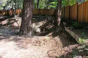 1025 Elsie Mae Dr, Boulder Creek, CA 95006 - Photo 43