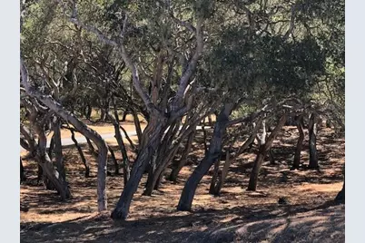 7735 Paseo Venado (Lot 82), Monterey, CA 93940 - Photo 7