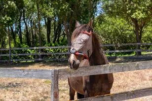 515 Bean Hollow Rd, Pescadero, CA 94060 - Photo 13