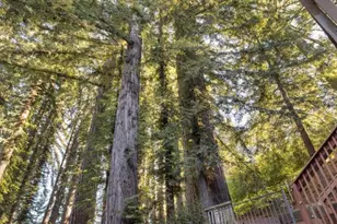 20080 Gist Rd, Los Gatos, CA 95033 - Photo 35