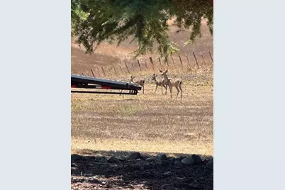 275 Nicholson Dr, Hollister, CA 95023 - Photo 77