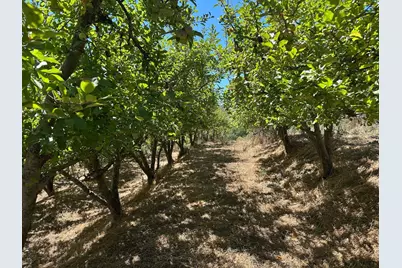 0 Sans Rd, Corralitos, CA 95076 - Photo 7