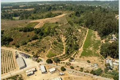 0 Sans Rd, Corralitos, CA 95076 - Photo 13