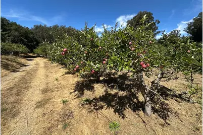 0 Sans Rd, Corralitos, CA 95076 - Photo 33