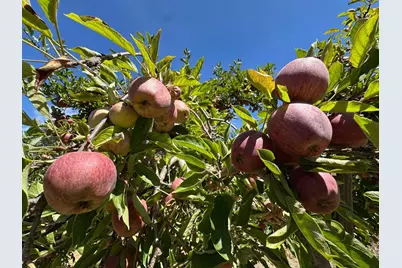 0 Sans Rd, Corralitos, CA 95076 - Photo 35