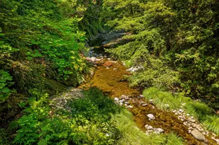 13680 Big Basin Wy, Boulder Creek, CA 95006 - Photo 21