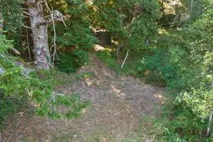 1239 La Madrona Dr, Santa Cruz, CA 95060 - Photo 35