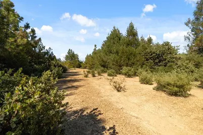 Lot 42 Summit Rd, Los Gatos, CA 95033 - Photo 11