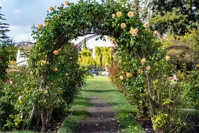 1190 Emory St, San Jose, CA 95126 - Photo 69