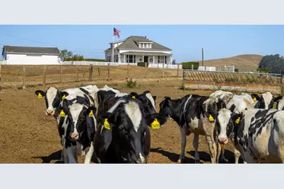 14550 Valley Ford Estero, Valley Ford, CA 94972 - Photo 41