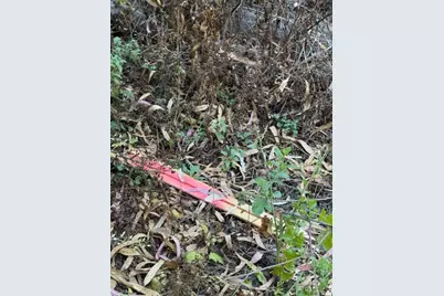 Address Not Disclosed, El Granada, CA 94018 - Photo 5