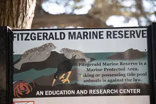 86 Madrone Ave, Moss Beach, CA 94038 - Photo 41