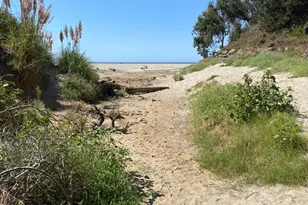 22 Seascape Resort Dr, Aptos, CA 95003 - Photo 43