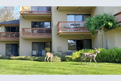 22 Seascape Resort Dr, Aptos, CA 95003 - Photo 37