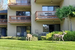 22 Seascape Resort Dr, Aptos, CA 95003 - Photo 37