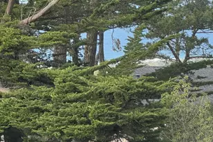 59 Skyline Crest Dr, Monterey, CA 93940 - Photo 7