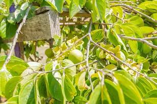 17945 Pesante Rd, Salinas, CA 93907 - Photo 49