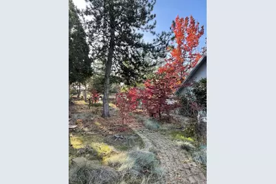 731 Dogwood Dr, Murphys, CA 95247 - Photo 3