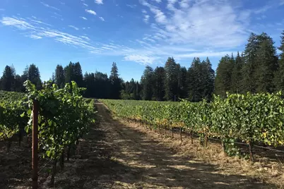 420 Bonnie Brae Road &amp;  3980 Bonny Doon Rd, Santa Cruz, CA 95060 - Photo 51