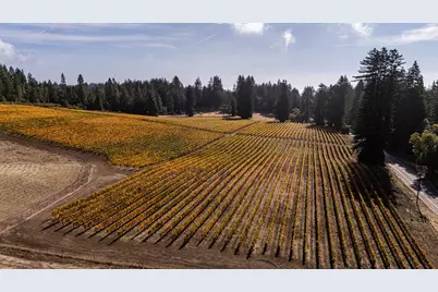 420 Bonnie Brae Road &amp;  3980 Bonny Doon Rd, Santa Cruz, CA 95060 - Photo 49