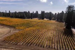 420 Bonnie Brae Road &amp 3980 Bonny Doon Rd, Santa Cruz, CA 95060 - Photo 49