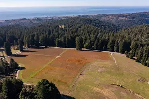 420 Bonnie Brae Road &amp 3980 Bonny Doon Rd, Santa Cruz, CA 95060 - Photo 47