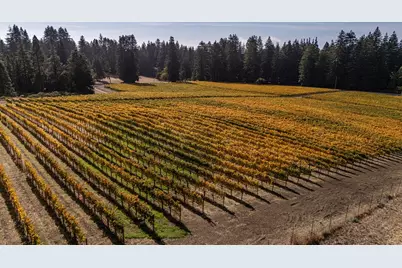 3980 Bonny Doon Rd, Santa Cruz, CA 95060 - Photo 17