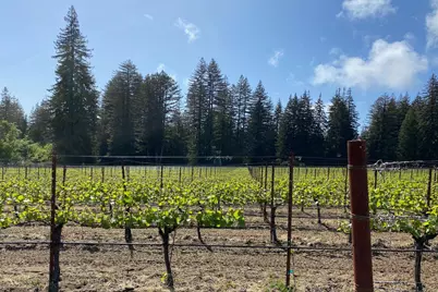 3980 Bonny Doon Rd, Santa Cruz, CA 95060 - Photo 21