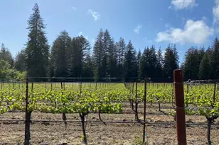 3980 Bonny Doon Rd, Santa Cruz, CA 95060 - Photo 21