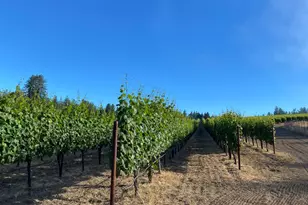 3980 Bonny Doon Rd, Santa Cruz, CA 95060 - Photo 19