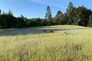 3980 Bonny Doon Rd, Santa Cruz, CA 95060 - Photo 25